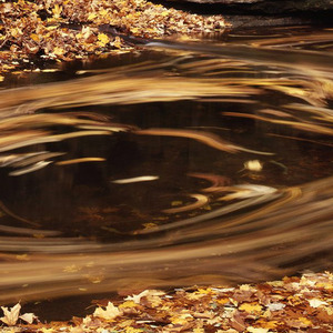 钱流向了不缺钱的人