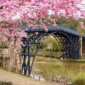 闪耀的星（美容院背景音乐）