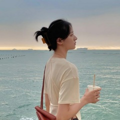 野味混合 (DJ版)