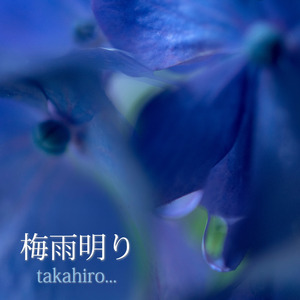 梅雨明り