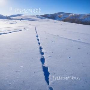 雪地里的脚印消失处