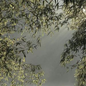 我看了56次日落