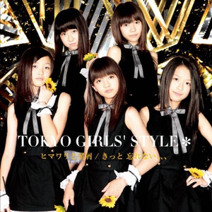 ヒマワリと星屑