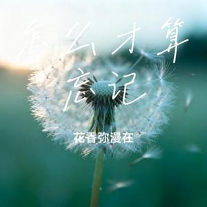 怎么才算忘记 (Cover 施颖婕)