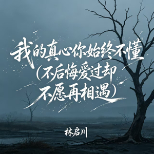 我的真心你始终不懂(不后悔爱过却不愿再相遇)