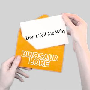 Don't Tell Me Why
