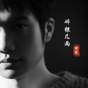 碎银几两 (DJ沈念版)