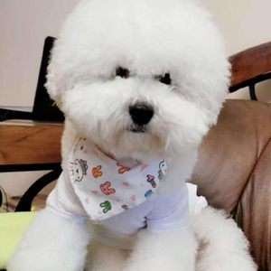 Nobody care about us