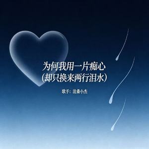 为何我用一片痴心（却只换来两行泪水）