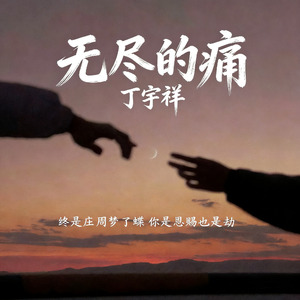 无尽的痛