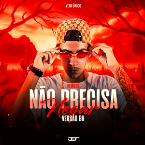 Nao Precisa Negar (Versao Bh) - Slowed