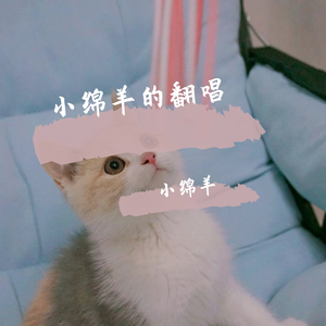 我多喜欢你，你会知道