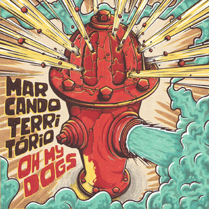 Conquistas E Fracassos