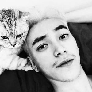 容祖儿 - 习惯失恋 (DJ半仙ProgHouse Mix)