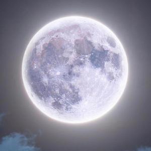 ZOOM2THEMOON (feat. pøøk)