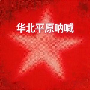 仙人掌的眼泪-2026