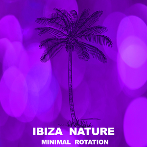 Subsurface (Ibiza Son Dub Remix)