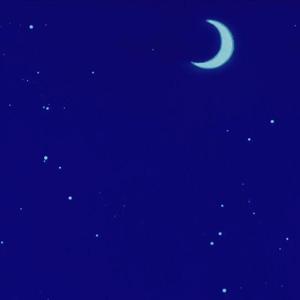 当 星 星 掉 进 眼 睛 里