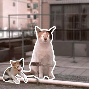 只有春风的夜里