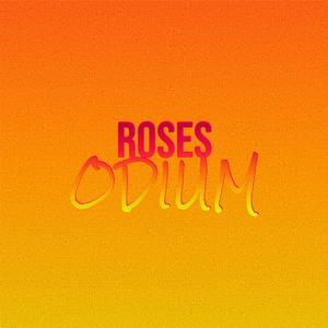 Roses Odium