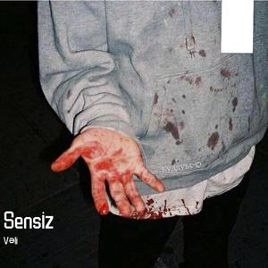 Sensiz