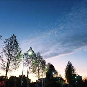 未有天（反转）