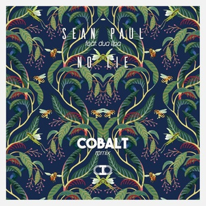 No Lie (Cobalt Remix)