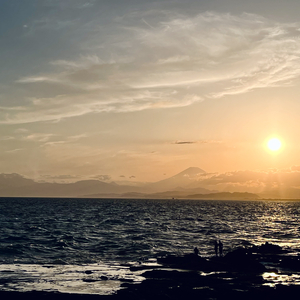 允许枯萎#百万奖金AI创作大赛+主题二