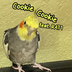Cookie Cookie
