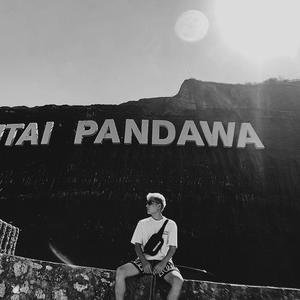 Post Malone-Better Now（Fog remix）