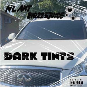 Dark Tints (feat. Big223Juice)