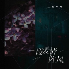 一段爱情一阵风