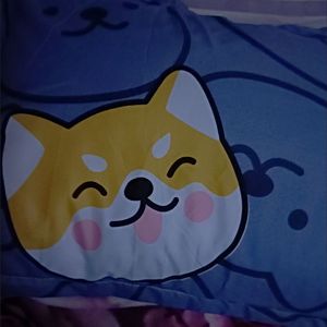 夏天不回来