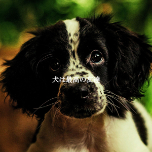 Quartet Jazz Soundtrack for New Year Styles