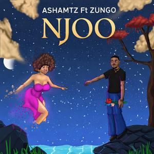 Njoo (feat. Zungo)