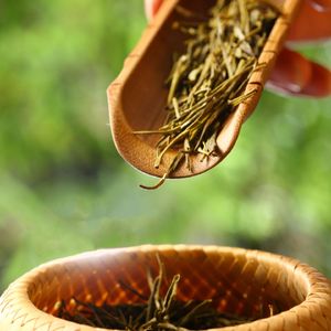 名山秋茶六 (古琴鸟声)