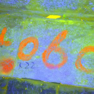 扬武妹妹（live）