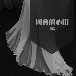 碧荷的心田 伴奏