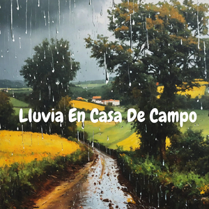 Lloviznando En El Patio