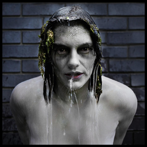 Siren Song