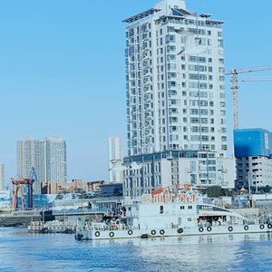 马年新春梦飞扬