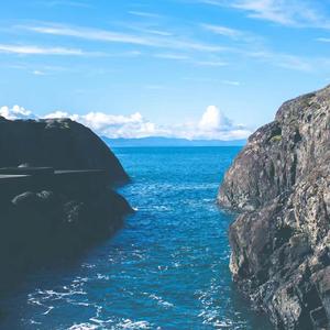 自动弃权（翻唱）