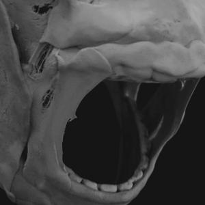 THE FIRST WEEK OF MY LIFE