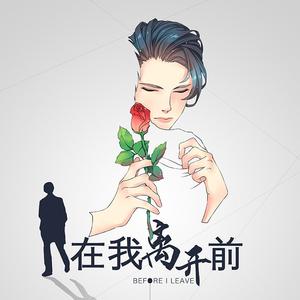 在我离开前（翻自 Mario）