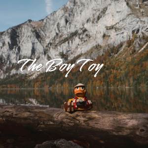 The Boy Toy