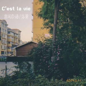 看到你感受痛苦我同样被撕裂无法呼吸