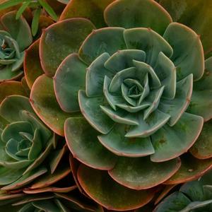 Maradj Tavol Mindentol