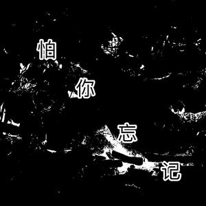怕你忘记 伴奏