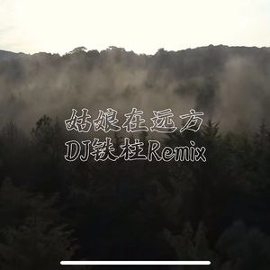 姑娘在远方dj铁柱