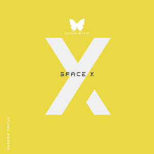 Space X